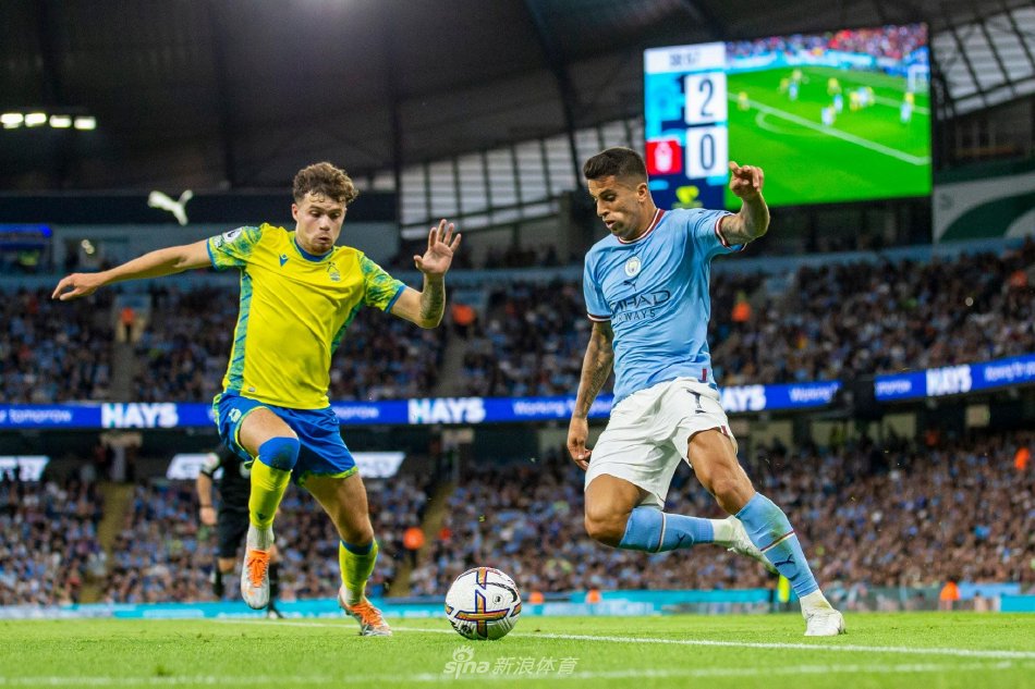 专家而言 专家而言